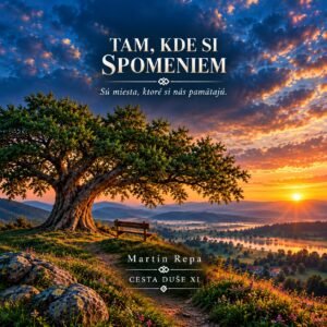 cover cd 11.1